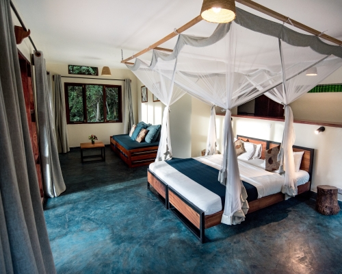 Turaco treetops lodge image