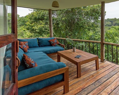 Turaco treetops lodge image