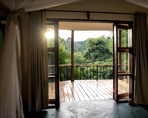 Turaco treetops lodge image