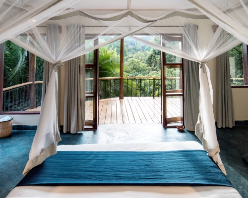 Turaco treetops lodge image