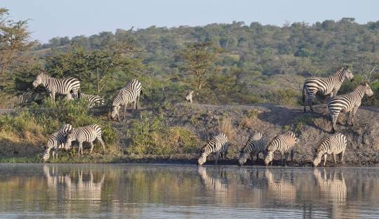 Lake Mburo National Park