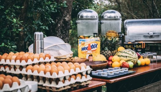 Affordable Safari Meals and Tips