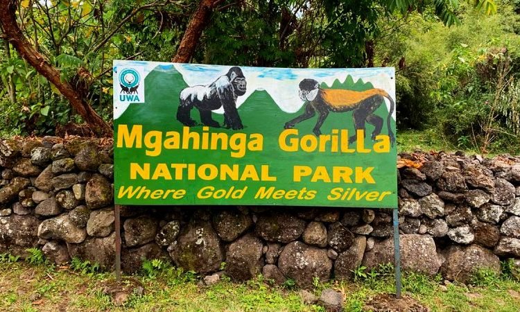 Mgahinga Gorilla National Park
