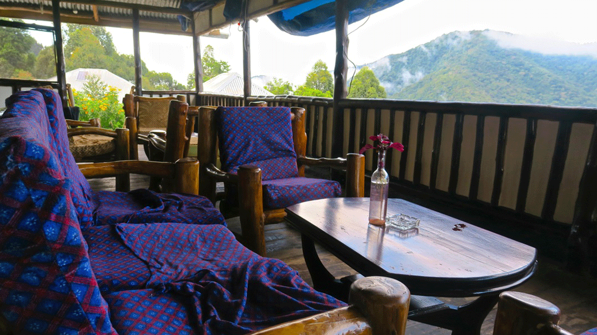 Budget Trekking and Wildlife Combination