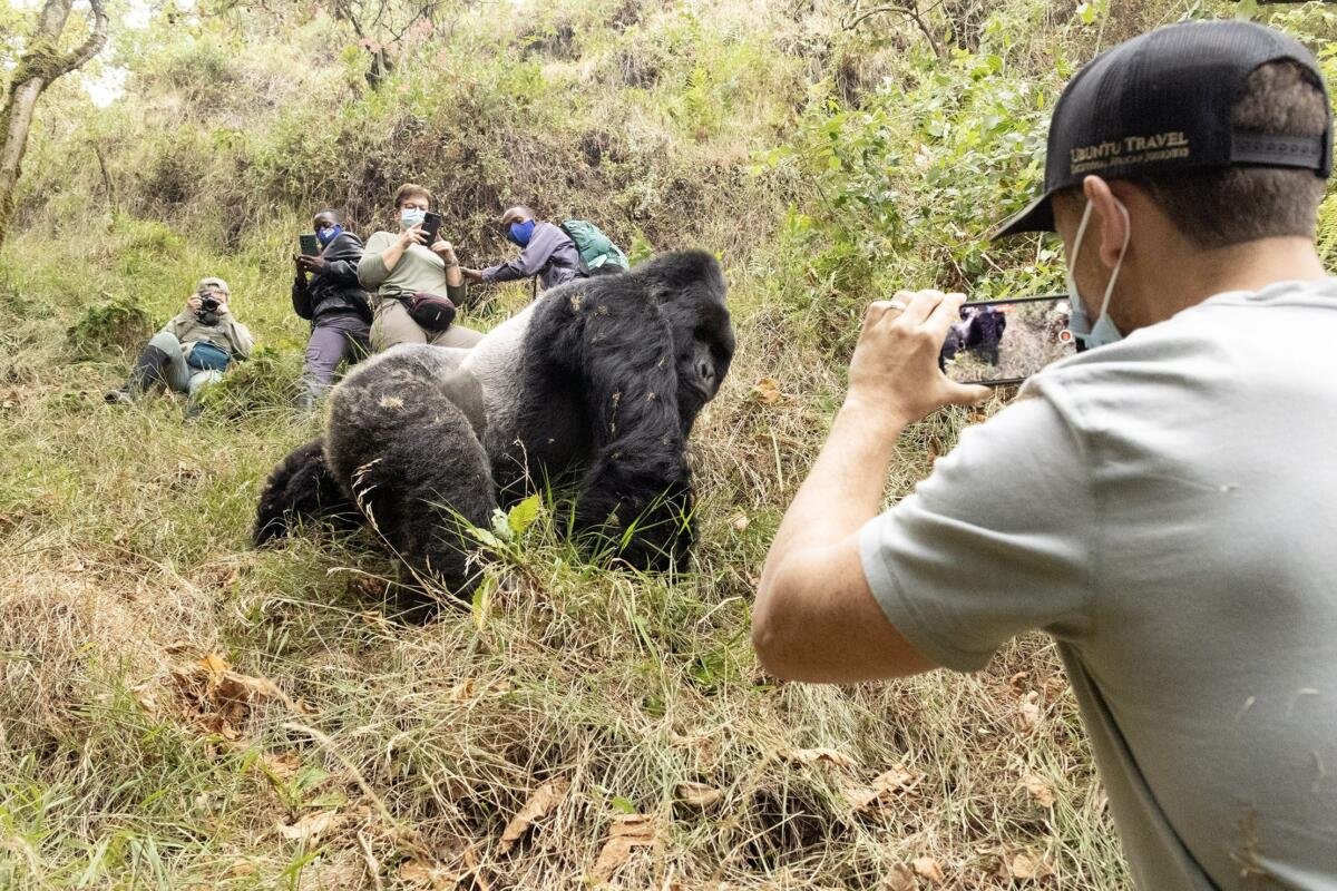 Low-Cost Photography Safari Rwanda