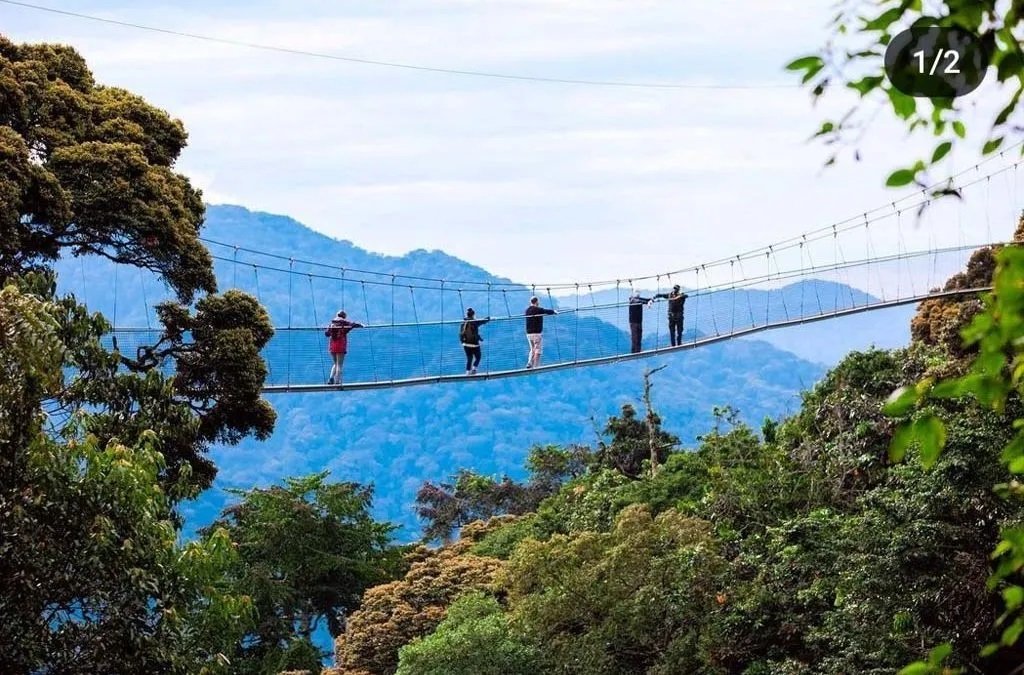 Nyungwe National Park