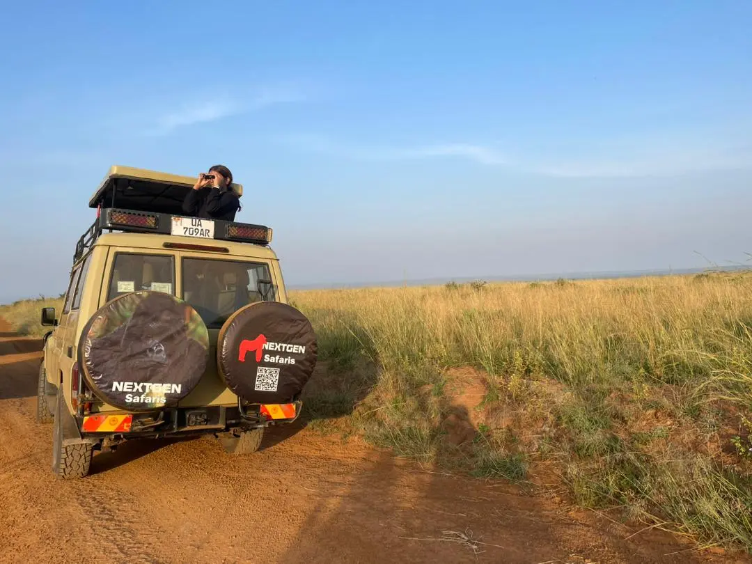 Cheapest Safari Transport Options