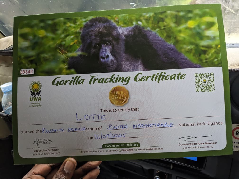 How to Book Budget Gorilla Permits Online