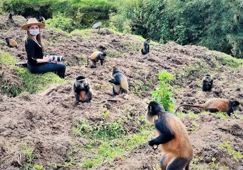 Golden money Trekking in Rwanda