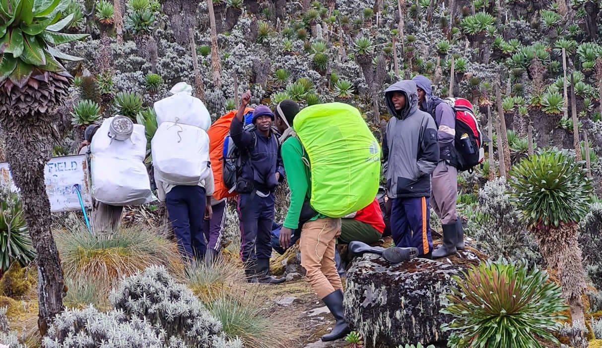 Cost Breakdown of Budget Gorilla Trekking