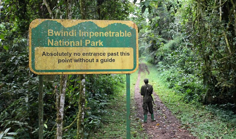 2-day-budget-gorilla-trekking-packages