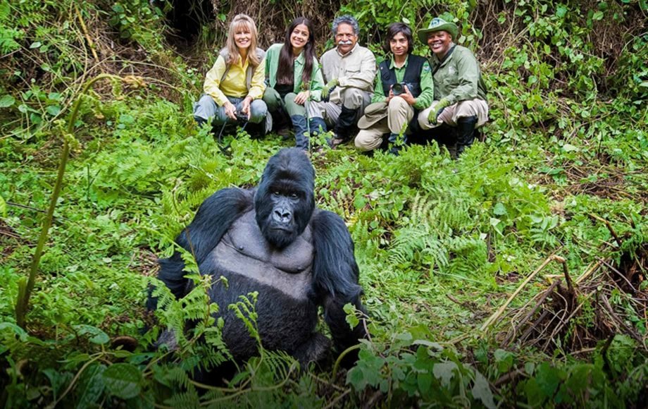 Months for Gorilla Trekking in Rwanda