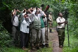 bird watching