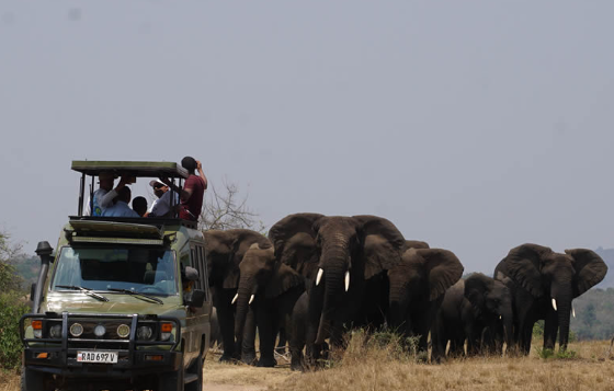 Akagera National Park