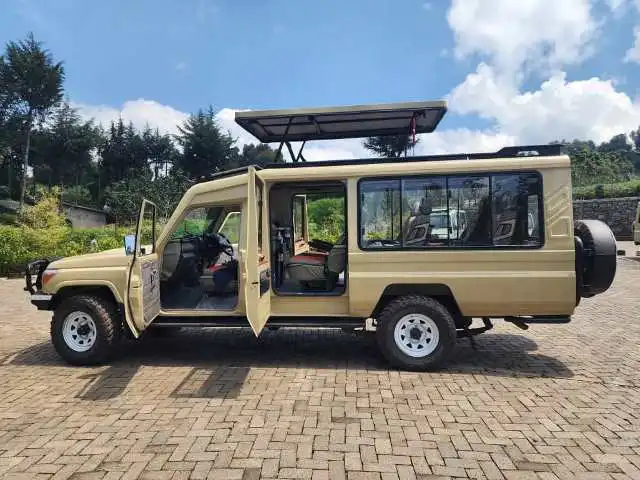 Cost Breakdown of Budget Gorilla Trekking
