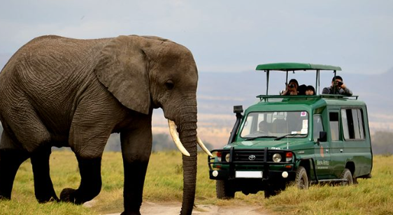 Game Drives