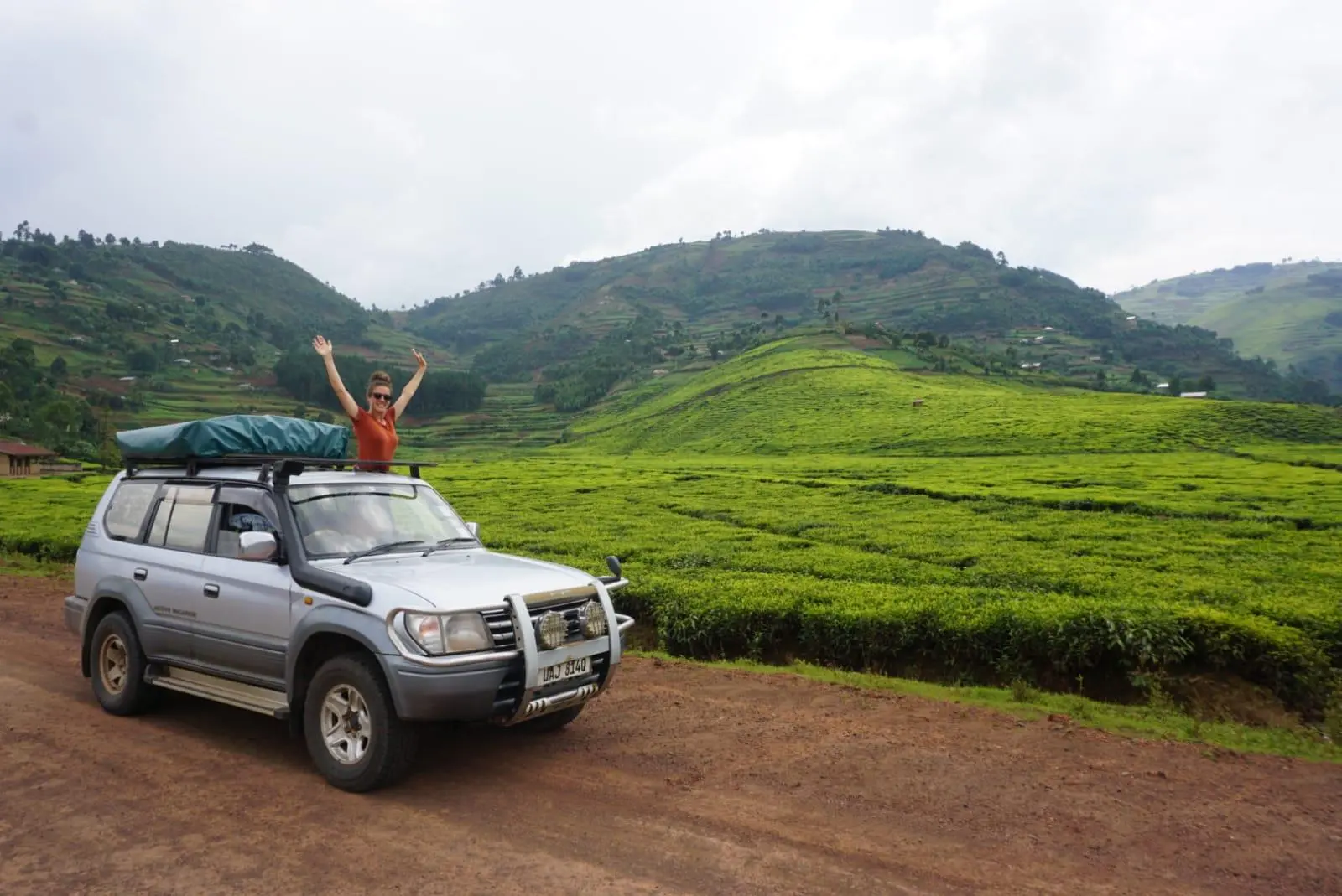 Last-Minute Budget Gorilla Safari