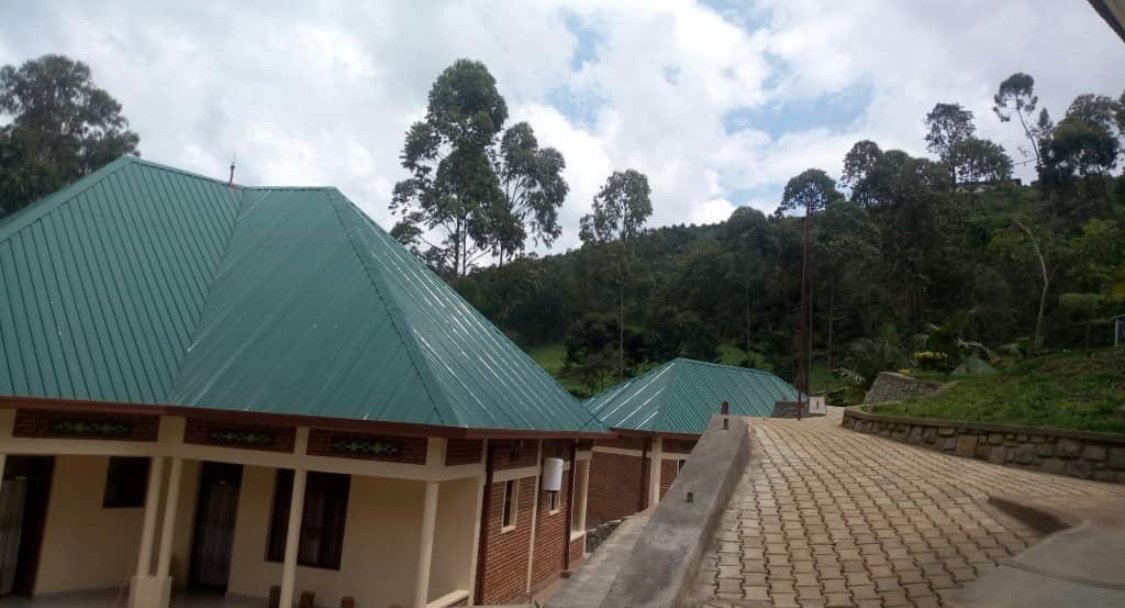 Budget Friendly Gorilla Trekking Tips