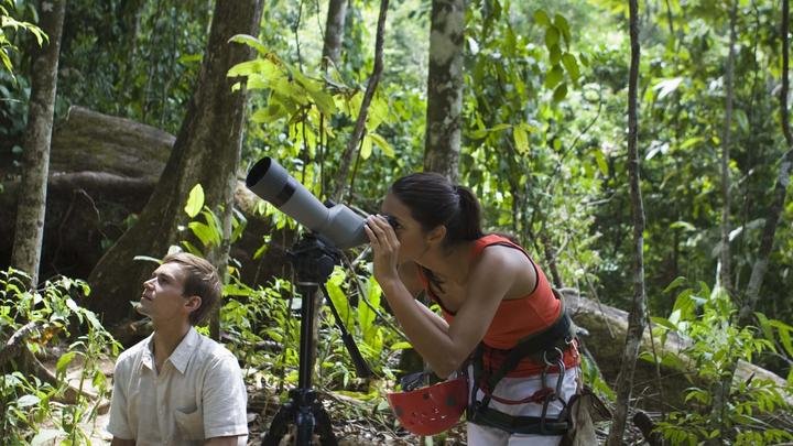 Birdwatching Excursions
