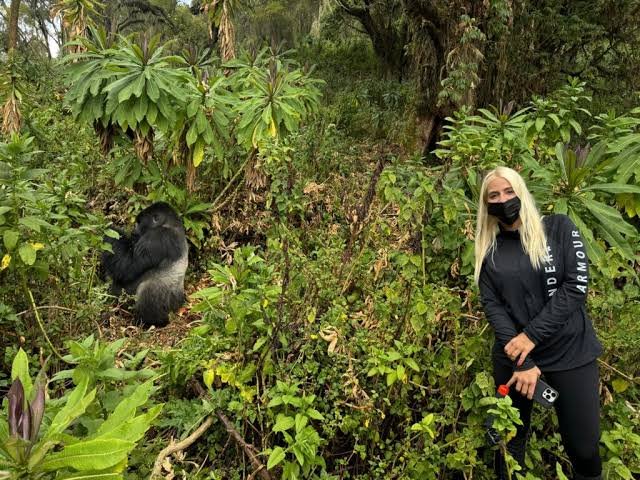 Affordable Private Gorilla Trekking Tours