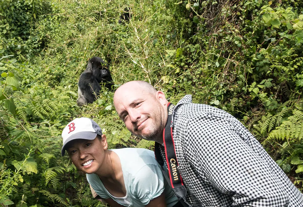 Last-Minute Budget Gorilla Safari