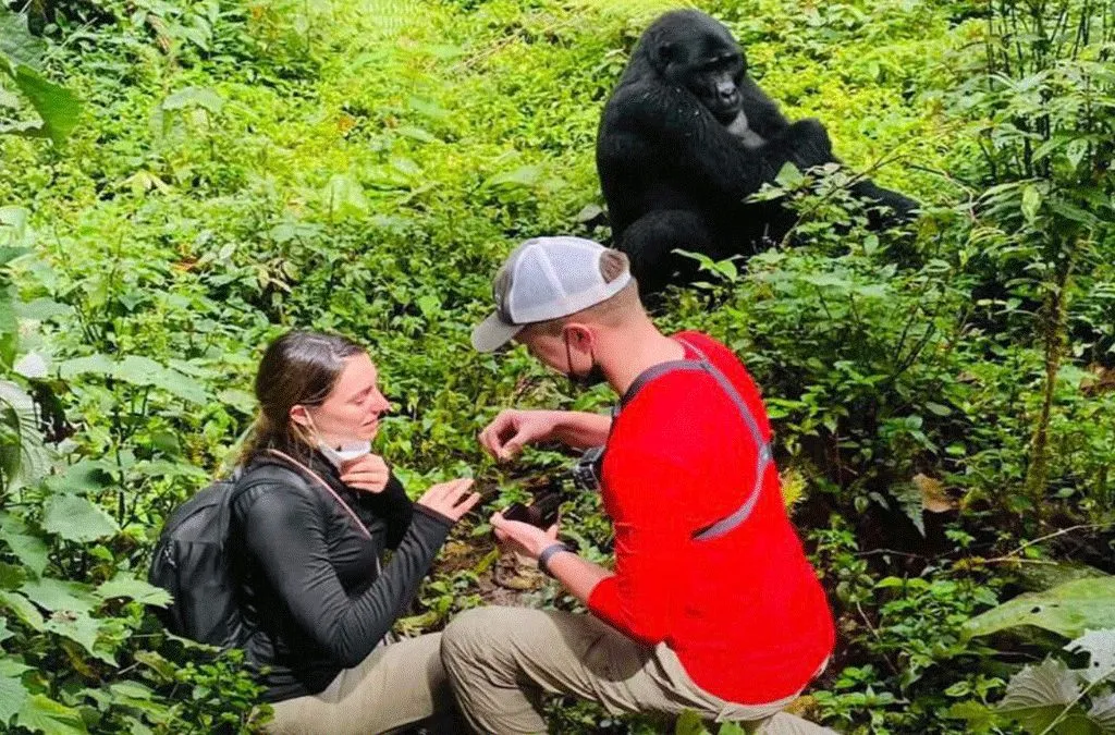 Budget Honeymoon Packages Rwanda