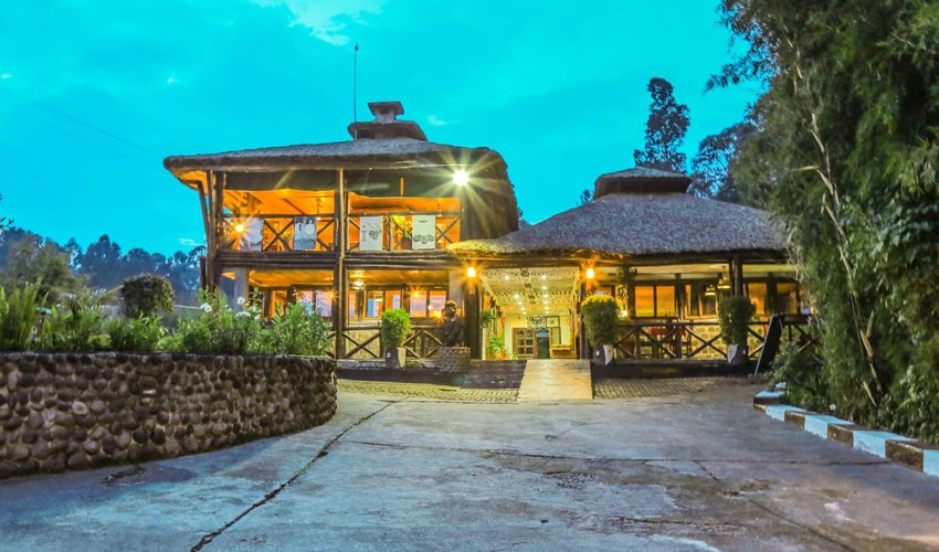 Davinci Gorilla Lodge