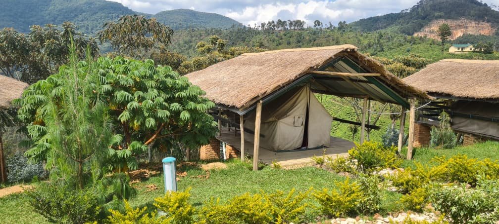 Nyungwe Ecolodge