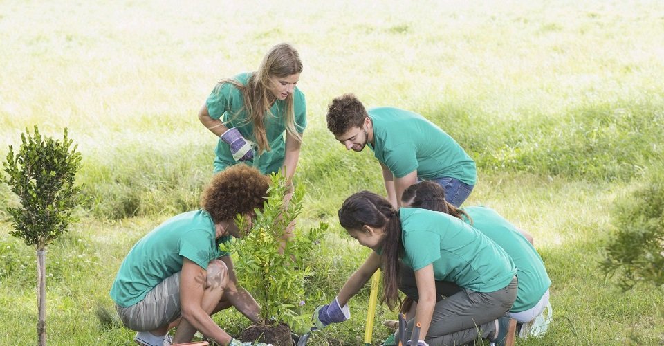 Conservation-Focused Activities