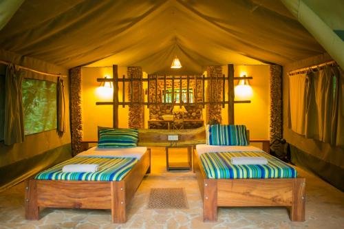 Discounted Chimpanzee Trekking Packages