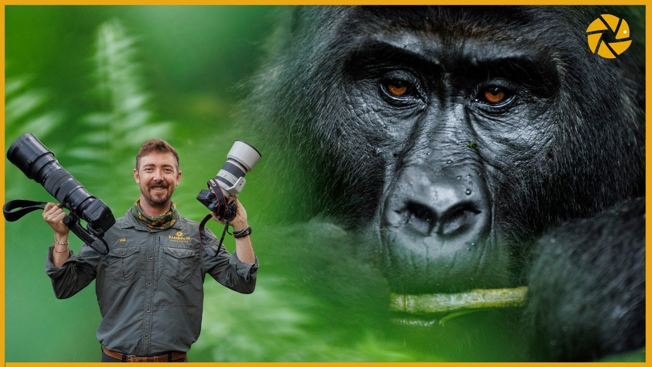 Budget family tours in Kigali