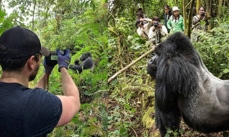 Low-Cost Photography Safari Rwanda