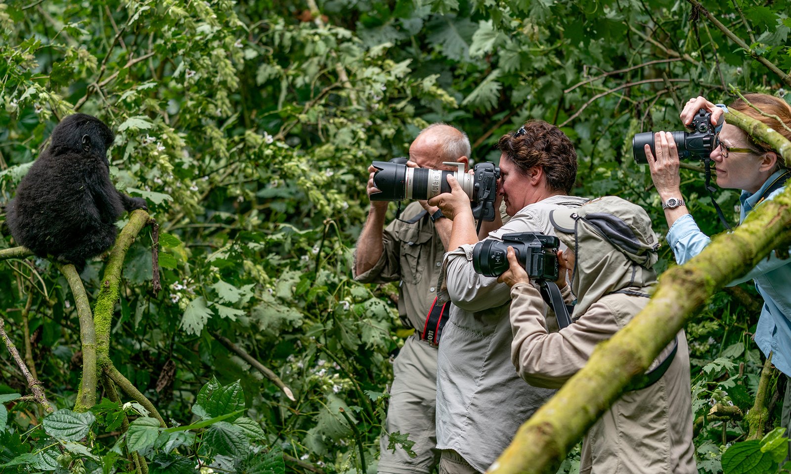 Low-Cost Photography Safari Rwanda