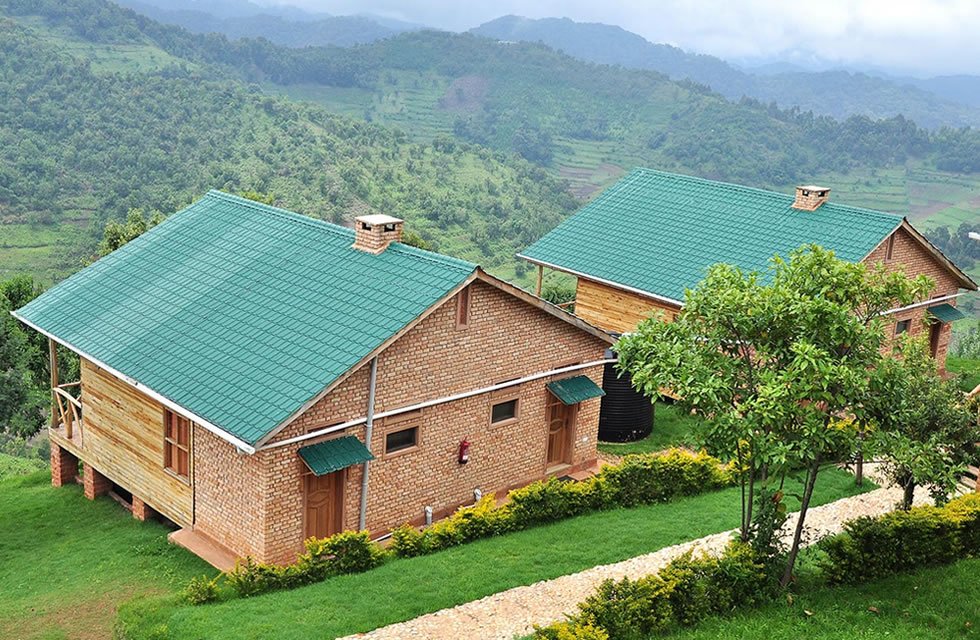 Ruhija safari Lodge