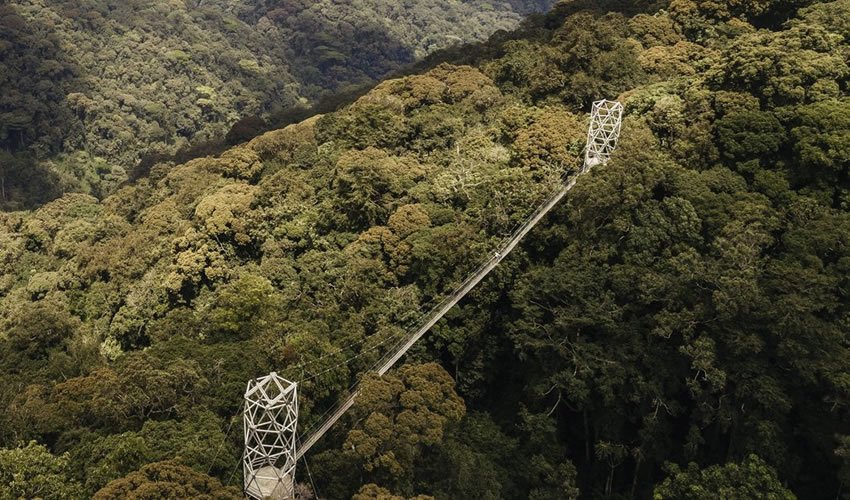 Nyungwe National Park