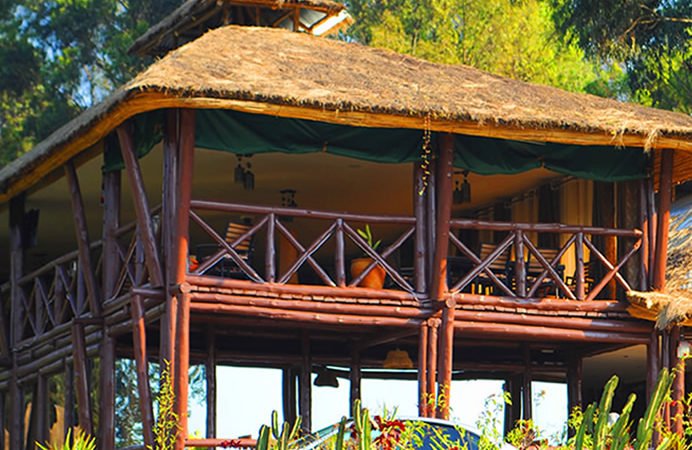 Davinci Gorilla Lodge