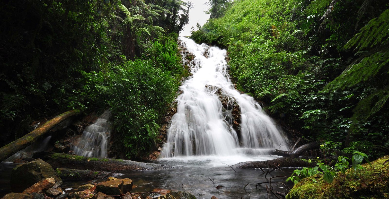 2-day-budget-gorilla-trekking-packages