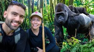 honey mooners gdoing gorilla trekking