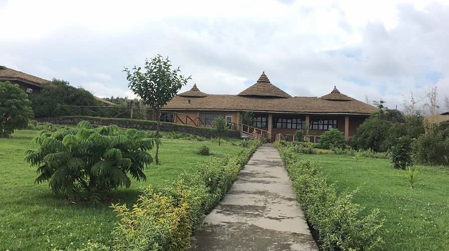 Gorilla Solution Lodge