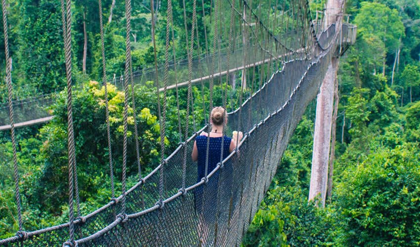 Nyungwe National Park