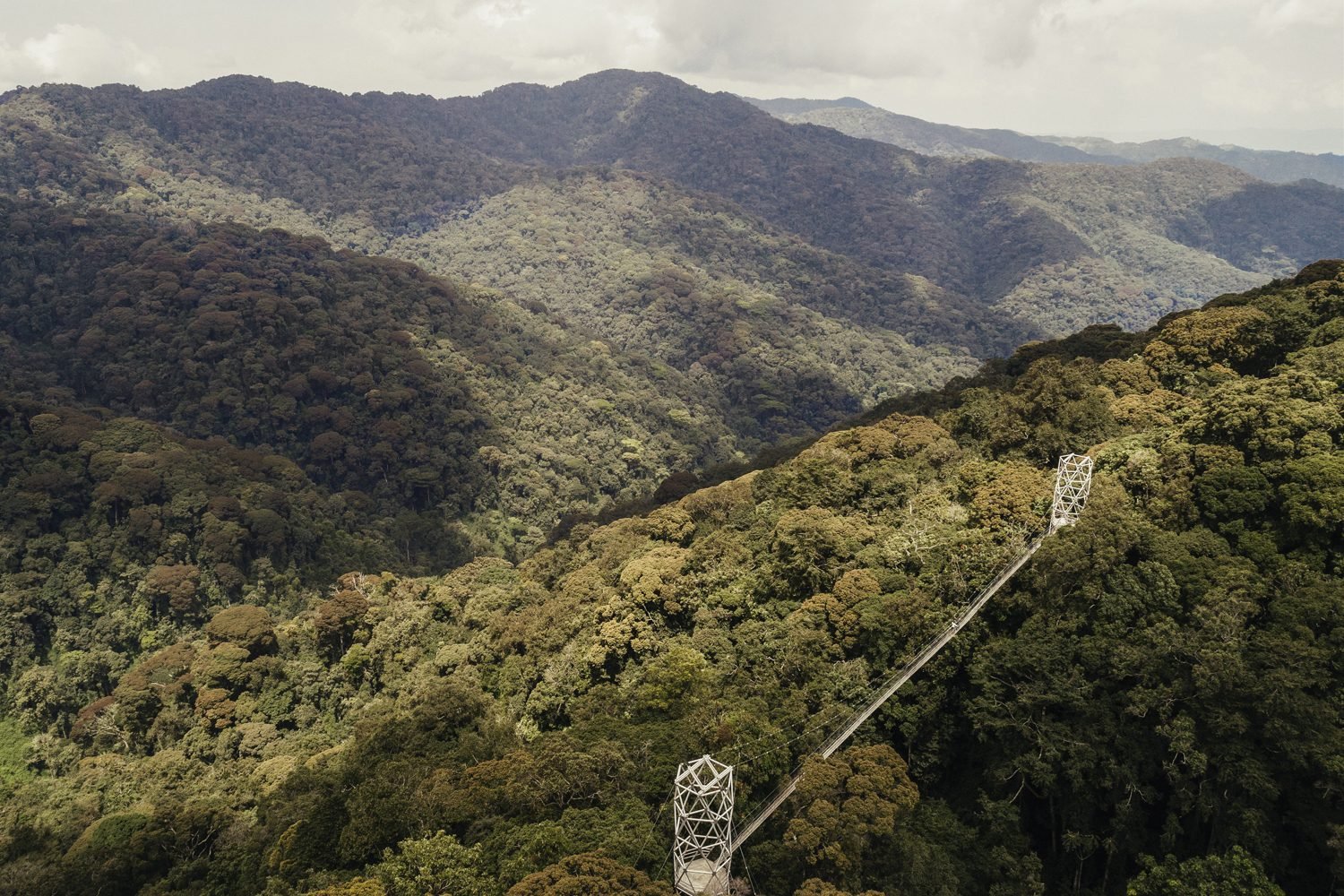 Family Budget Chimpanzee Trekking Nyungwe