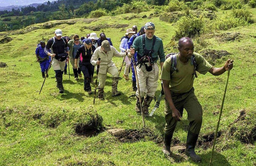 Backpacker’s Guide to Rwanda Wildlife Safaris