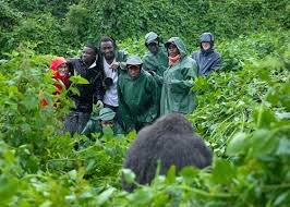 Group Budget Safari Packages Rwanda