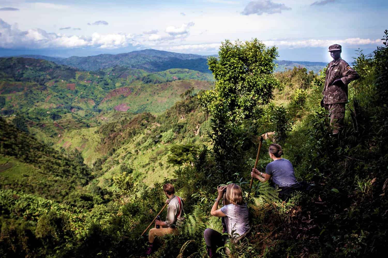 Scenic Hiking Adventures